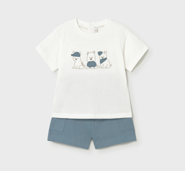 Conjunto casual de niño